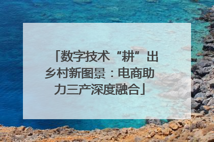 数字技术“耕”出乡村新图景：电商助力三产深度融合