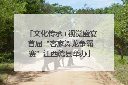 文化传承+视觉盛宴 首届“客家舞龙争霸赛”江西赣县举办
