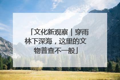 文化新观察｜穿雨林下深海，这里的文物普查不一般