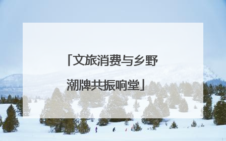 文旅消费与乡野潮牌共振响堂