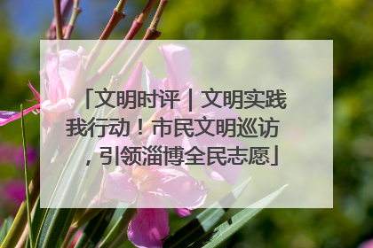 文明时评｜文明实践我行动！市民文明巡访，引领淄博全民志愿