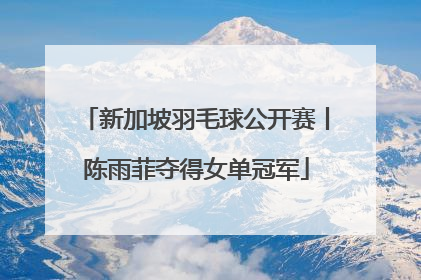 新加坡羽毛球公开赛丨陈雨菲夺得女单冠军