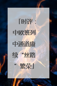 时评：中欧班列中通道赓续“丝路”繁荣