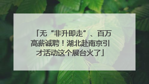 无“非升即走”、百万高薪诚聘！湖北赴南京引才活动这个展台火了