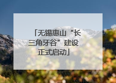 无锡惠山“长三角牙谷”建设正式启动