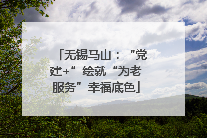 无锡马山：“党建+”绘就“为老服务”幸福底色
