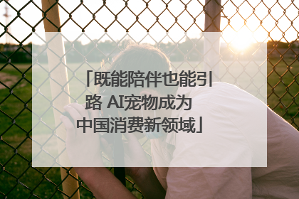 既能陪伴也能引路 AI宠物成为中国消费新领域