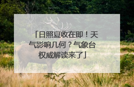 日照夏收在即！天气影响几何？气象台权威解读来了