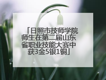 日照市技师学院师生在第二届山东省职业技能大赛中获3金5银1铜