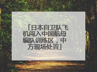 日本自卫队飞机闯入中国航母编队训练区，中方现场处置