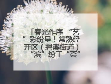 春光作序 “艺”彩纷呈！常熟经开区（碧溪街道）“滨”纷工“荟”·职工艺课堂点亮春日时光
