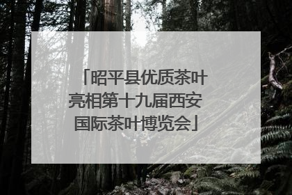 昭平县优质茶叶亮相第十九届西安国际茶叶博览会