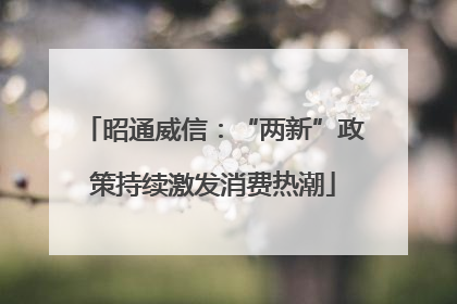 昭通威信：“两新”政策持续激发消费热潮