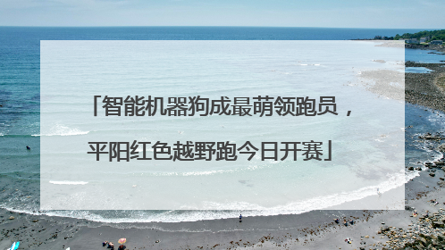 智能机器狗成最萌领跑员，平阳红色越野跑今日开赛