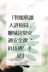 智能机器人进校园，聊城这堂交通安全课“科技感”十足