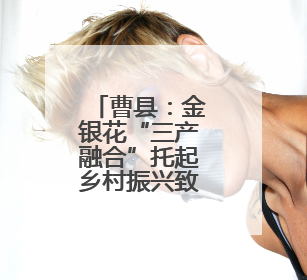 曹县：金银花“三产融合”托起乡村振兴致富梦