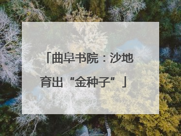 曲阜书院：沙地育出“金种子”