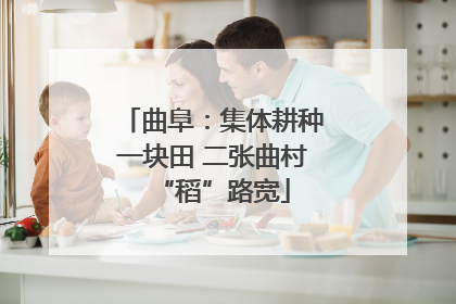 曲阜：集体耕种一块田 二张曲村“稻”路宽
