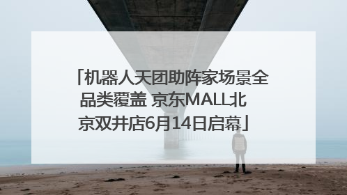 机器人天团助阵家场景全品类覆盖 京东MALL北京双井店6月14日启幕