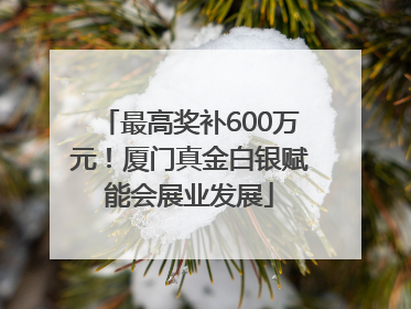 最高奖补600万元！厦门真金白银赋能会展业发展