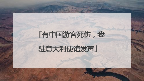 有中国游客死伤，我驻意大利使馆发声