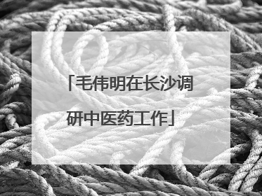 毛伟明在长沙调研中医药工作