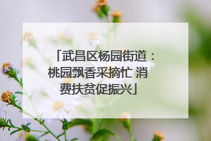 武昌区杨园街道：桃园飘香采摘忙 消费扶贫促振兴