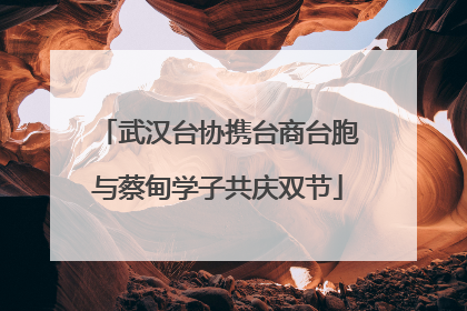 武汉台协携台商台胞与蔡甸学子共庆双节