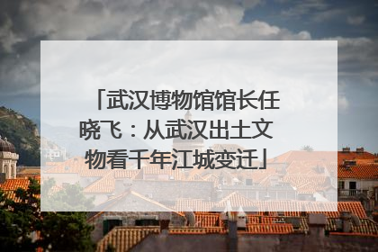 武汉博物馆馆长任晓飞：从武汉出土文物看千年江城变迁