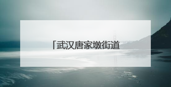 武汉唐家墩街道开展“三大精神”沉浸式宣讲活动