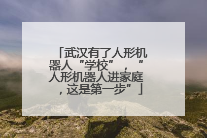 武汉有了人形机器人“学校”，“人形机器人进家庭，这是第一步”