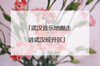 武汉音乐地图走进武汉经开区