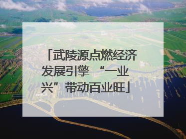 武陵源点燃经济发展引擎 “一业兴”带动百业旺