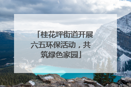 桂花坪街道开展六五环保活动，共筑绿色家园