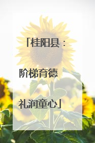 桂阳县：阶梯育德 礼润童心