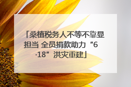 桑植税务人不等不靠显担当 全员捐款助力“6·18”洪灾重建