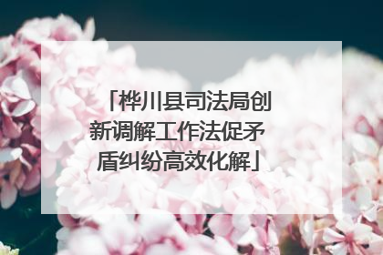 桦川县司法局创新调解工作法促矛盾纠纷高效化解