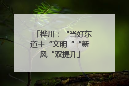 桦川：“当好东道主“文明““新风“双提升