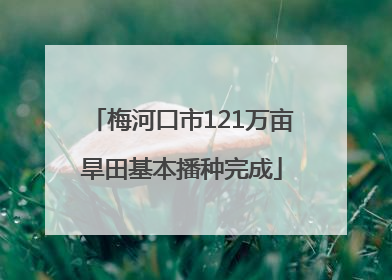梅河口市121万亩旱田基本播种完成