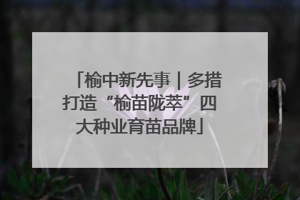 榆中新先事｜多措打造“榆苗陇萃”四大种业育苗品牌