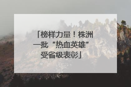 榜样力量！株洲一批“热血英雄”受省级表彰