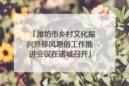 潍坊市乡村文化振兴暨移风易俗工作推进会议在诸城召开