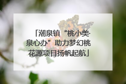 潮泉镇“桃小美·泉心办”助力梦幻桃花源项目扬帆起航