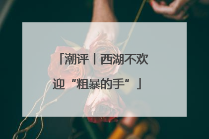 潮评丨西湖不欢迎“粗暴的手”