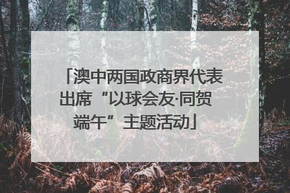 澳中两国政商界代表出席“以球会友·同贺端午”主题活动