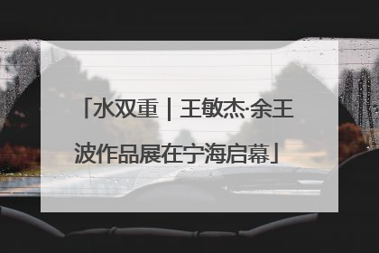 水双重｜王敏杰·余王波作品展在宁海启幕