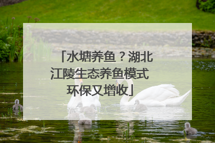 水塘养鱼？湖北江陵生态养鱼模式环保又增收