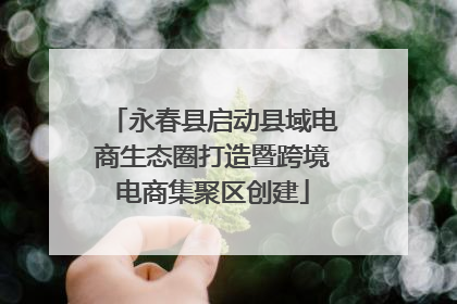 永春县启动县域电商生态圈打造暨跨境电商集聚区创建