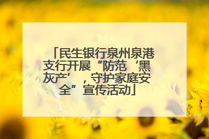 民生银行泉州泉港支行开展“防范‘黑灰产’，守护家庭安全”宣传活动