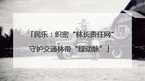 民乐：织密“林长责任网” 守护交通林带“绿动脉”